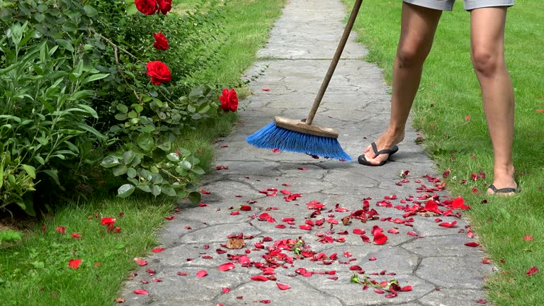 The Step-by-Step Path From Booking to Cleanup